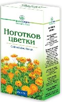 Ноготков цветки
