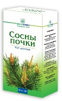 Сосны почки