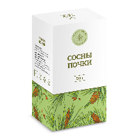 Сосны почки